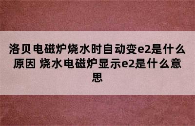 洛贝电磁炉烧水时自动变e2是什么原因 烧水电磁炉显示e2是什么意思